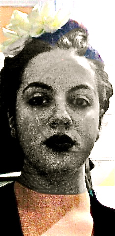 The Gentrification of Harlem © 2010 Cassandra Fradera